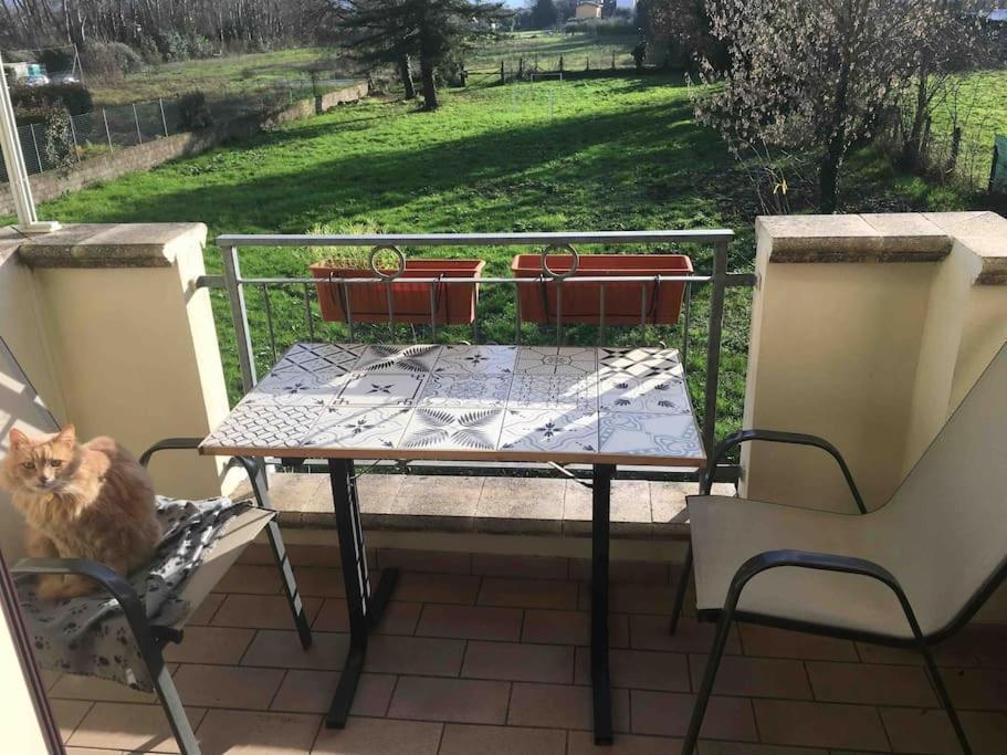 Piccolo Borgo Apartment Lucca Luaran gambar